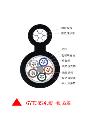 GYTC8S光纜結(jié)構(gòu)圖.jpg